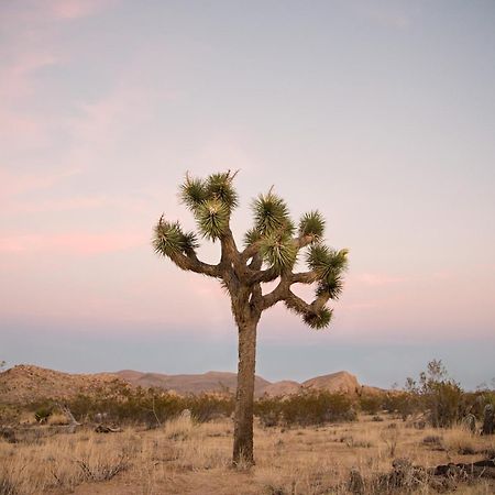 Modern Desert Dream - New Build Twentynine Palms Buitenkant foto