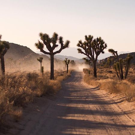 Modern Desert Dream - New Build Twentynine Palms Buitenkant foto